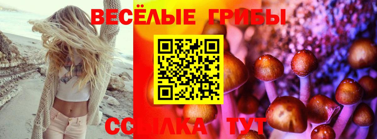 Ессентуки  Галлюциногенные грибы Magic Shrooms  Вход с VPN 